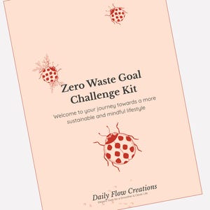 Peut inclure: Un kit pêche intitulé "Zero Waste Goal Challenge Kit" avec des illustrations de coccinelles rouges. Le texte indique "Welcome to your journey towards a more sustainable and mindful lifestyle." Le logo Daily Flow Creations est en bas.