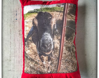 Custom 8 inch x 10 inch Picture Pillow (Your Photo Here, You Pick Fabric)