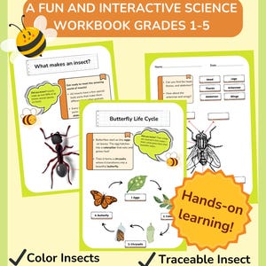 Insect Science Activity Bundle – 29 Pages | Life Cycles, Parts of Insects, Coloring & Facts | Homeschool Printable PDF