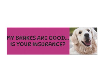 Funny Car Magnet: My Brakes Are Good, Dog Meme Bumper Magnet