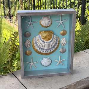 May include: A shadow box frame with a light blue background containing a collection of seashells and starfish. The central large scallop shell is painted with gold and silver accents. Smaller shells and four starfish are arranged around it.