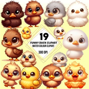 Funny Chicks Clipar, Water Colour Clipart ,Digital Download.