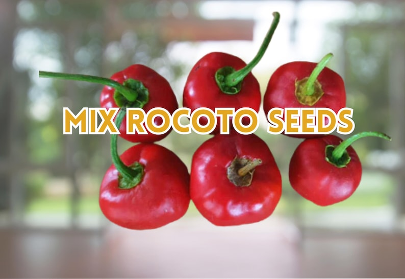 Mini Rocoto Red Pepper Mix Rocoto Pepper Seeds | Capsicum Pubescens, Heirloom Variety (25 ...