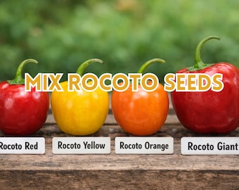Mix Rocoto Pepper Seeds | Capsicum Pubescens, Heirloom Variety (25 Seeds)