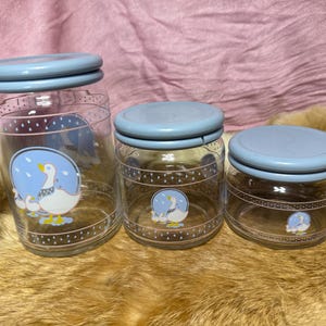 Vintage duck goose canisters