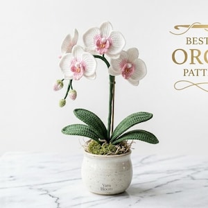 Könnte beinhalten: Gehäkelte Orchideenpflanze mit weißen und rosa Blüten, grünen Blättern und einem gesprenkelten Keramiktopf. Der Topf ist mit Moos gefüllt und steht auf einer Marmoroberfläche. Der Text auf dem Bild lautet "BESTSELLER ORCHID PATTERN PDF".