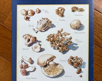 Exotic Mushrooms  - Cook's Illustrated back cover