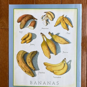 Bananas 2 - Cook&#39;s Illustrated back cover