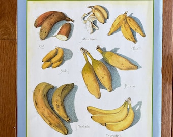 Bananas - Cook's Illustrated back cover