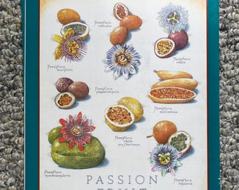 Passion Fruit - Cook's Illustrated back cover