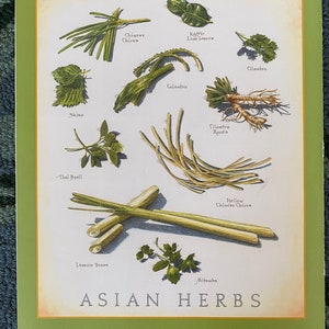 Asian Herbs - Cook&#39;s Illustrated back cover