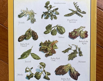 Mesclun Greens  - Cook's Illustrated back cover
