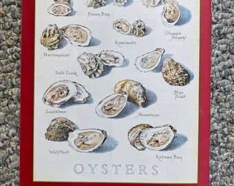 Oysters 1 - Cook's Illustrated back cover