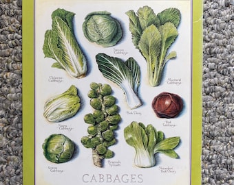 Cabbages - Cook's Illustrated back cover RARE