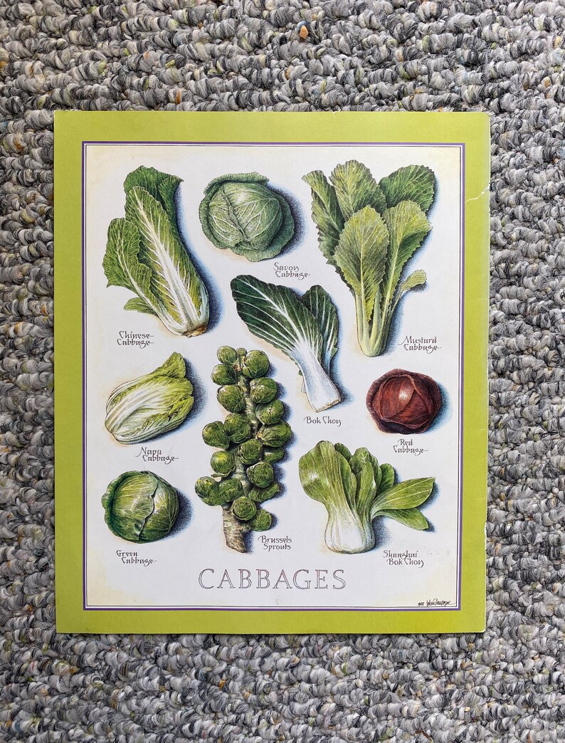 Cabbages - Cook's Illustrated Back Cover RARE - Etsy