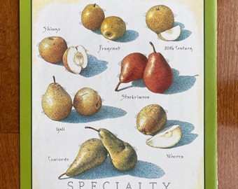 Specialty Pears - Cook's Illustrated back cover