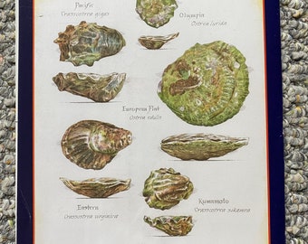 Oysters - Cook's Illustrated back cover