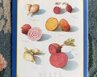 Beets - Cook's Illustrated back cover