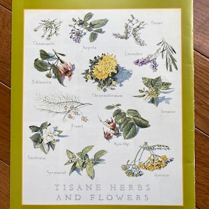 May include: A colorful illustration of 12 different herbs and flowers used for tisanes. The illustration includes chamomile, nepeta, lavender, thyme, echinacea, chrysanthemum, jasmine, gardenia, spearmint, fennel, rose hip, and yarrow. The text "TISANE HERBS AND FLOWERS" is printed below the illustration.