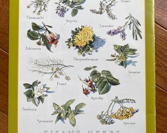 Tisane Herbs & Flowers  - Cook&#39;s Illustrated back cover