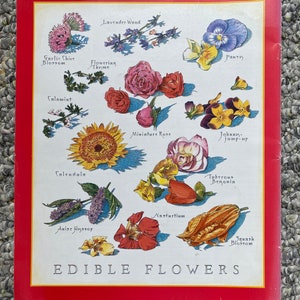 Edible Flowers - Cook&#39;s Illustrated back cover