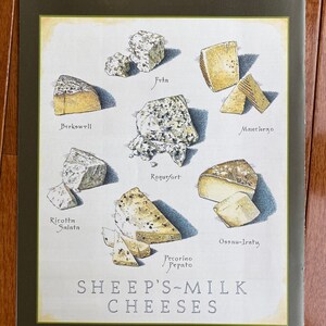 Sheep’s-Milk Cheeses - Cook&#39;s Illustrated back cover