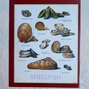 Shellfish - Cook&#39;s Illustrated back cover