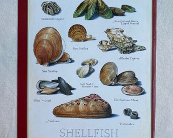 Shellfish - Cook's Illustrated back cover