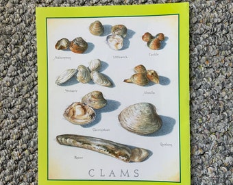 Clams - Cook's Illustrated back cover