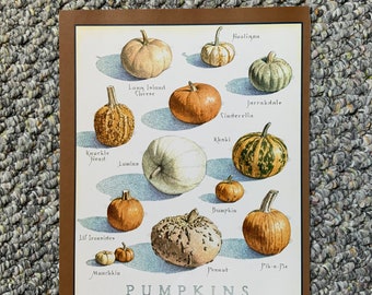 Pumpkins  - Cook's Illustrated back cover