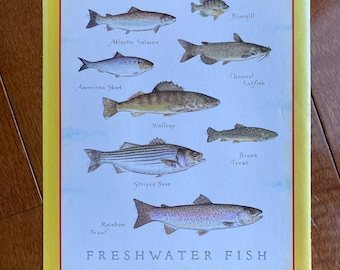 Freshwater Fish  - Cook's Illustrated back cover