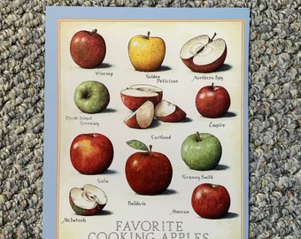 Favorite Cooking Apples  - Cook's Illustrated back cover