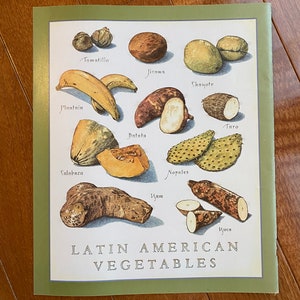 Latin American Vegetables - Cook&#39;s Illustrated back cover