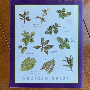Mexican Herbs - Cook&#39;s Illustrated back cover