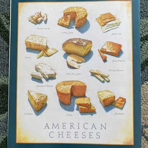 American Cheeses  - Cook&#39;s Illustrated back cover