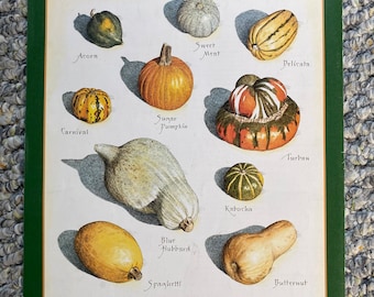 Winter Squashes - Cook's Illustrated back cover