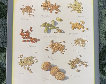 Seed Spices - Cook's Illustrated back cover