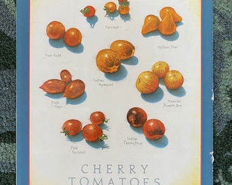 Cherry Tomatoes - Cook's Illustrated back cover