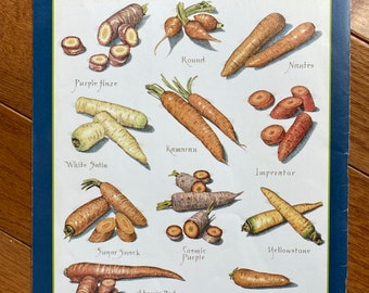 Carrots  - Cook's Illustrated back cover