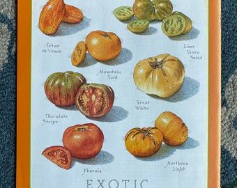 Exotic Tomatoes - Cook's Illustrated back cover