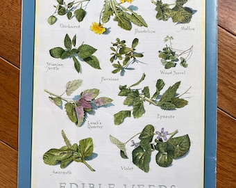 Edible Weeds 1 - Cook&#39;s Illustrated back cover