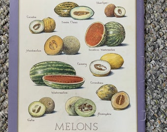 Melons  - Cook's Illustrated back cover