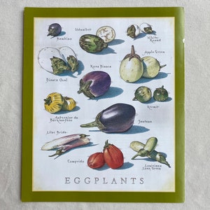 Eggplants Cook's Illustrated back cover image 1