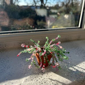 Handmade Beaded plant pots -trailing plant pot