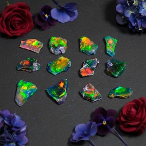 May include: A collection of rough, uncut black opals with vibrant flashes of color, including green, orange, and yellow. The opals are arranged on a dark surface, surrounded by red roses, purple pansies, and blue hydrangeas.