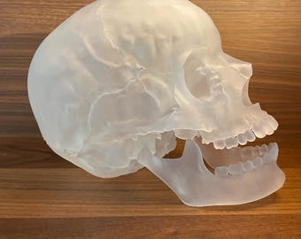 Chrystal Skull large 9 inch | highly realistic Appearance and Size semi-translucent - hand finished and high quality | cosplay prop