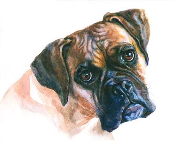 watercolor boxer dog