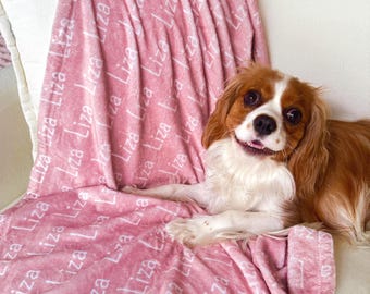 May include: A pink plush blanket with the name "Liza" repeated in white lettering. A Cavalier King Charles Spaniel dog with brown and white fur is resting on the blanket, which is draped over a white chair.