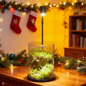 May include: A terrarium with a black base and a clear glass cylinder filled with green moss and a small decorative element. A black lamp with a cylindrical head is positioned above the terrarium. The background includes Christmas decorations.