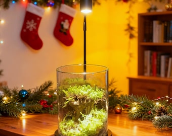 Terrario de musgo vivo en frasco de vidrio, mini musgo bioactivo con piedra y pequeña figura, ecosistema de escritorio Natura, minijardín DIY, regalo para enamorados.